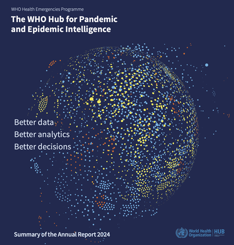 Summary of the annual report 2024